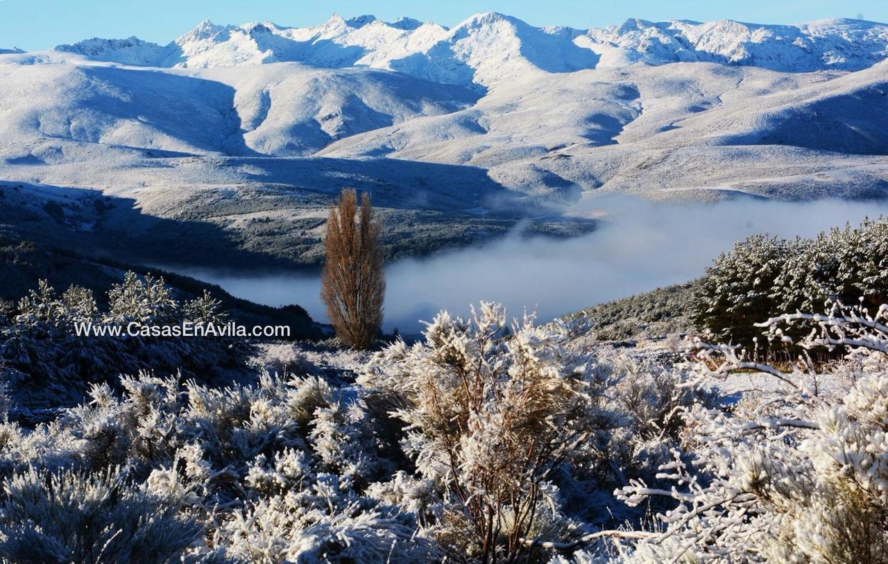 La Pasailla De Gredos Affittacamere Navacepeda de Tormes Esterno foto